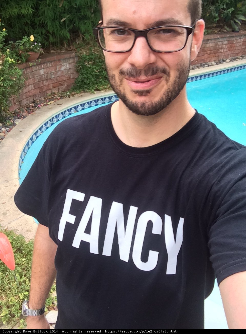 Fancy Dave by the Pool
