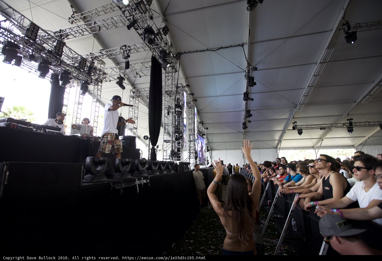 The Electric Crowd at Coachella