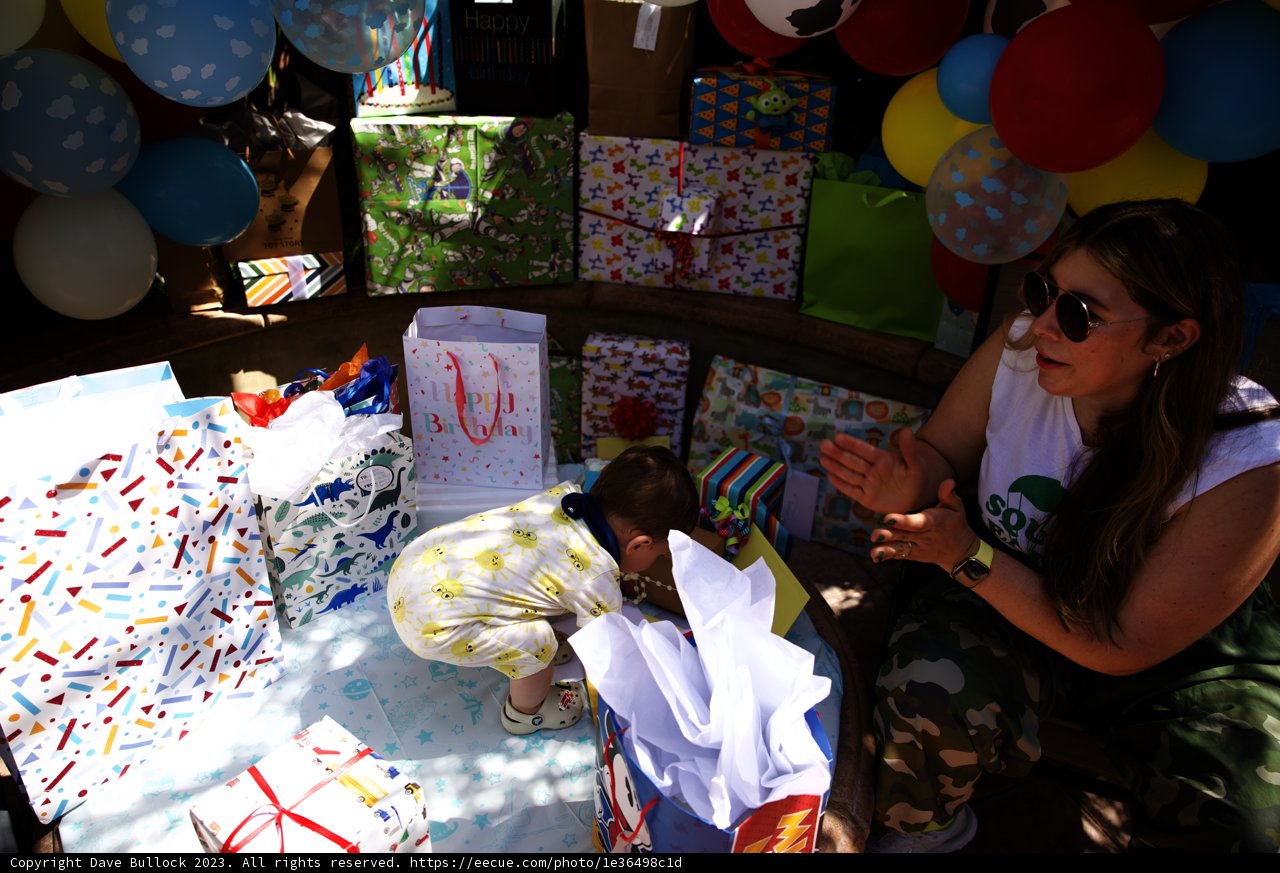 Cherished Moments: Wesley's First Birthday Celebration