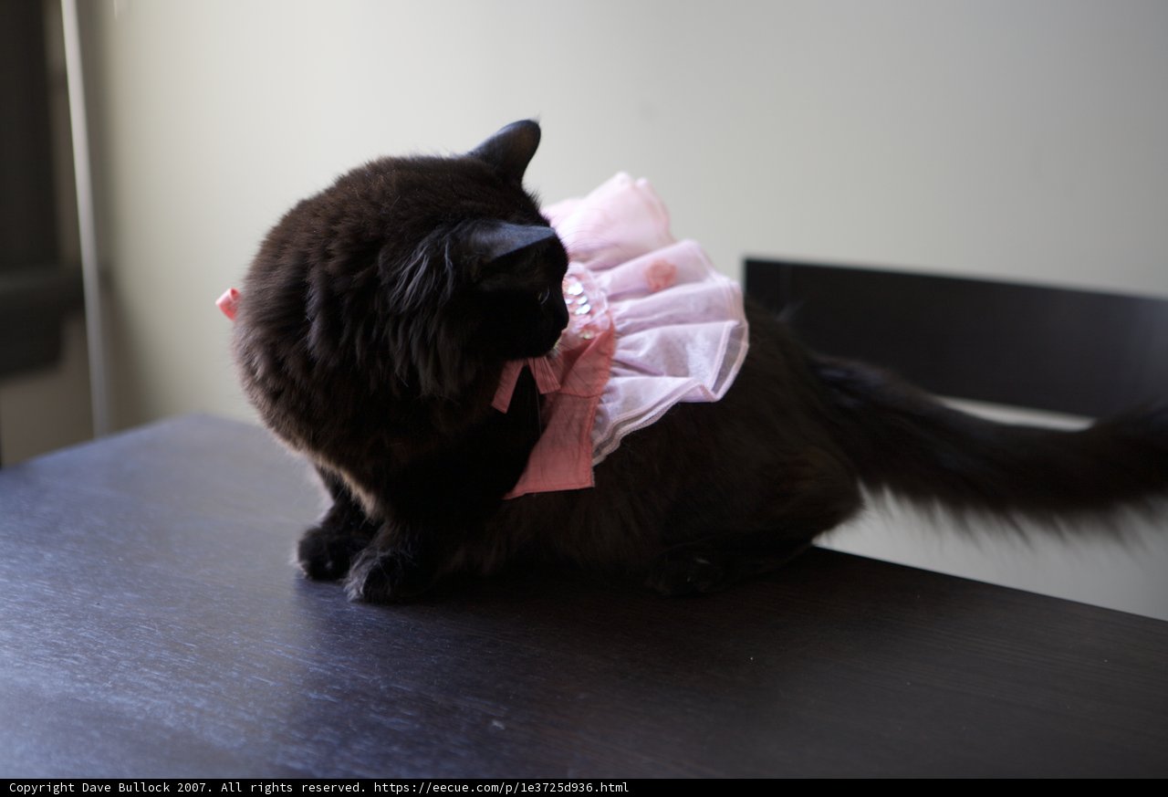 Isabella the Ballerina