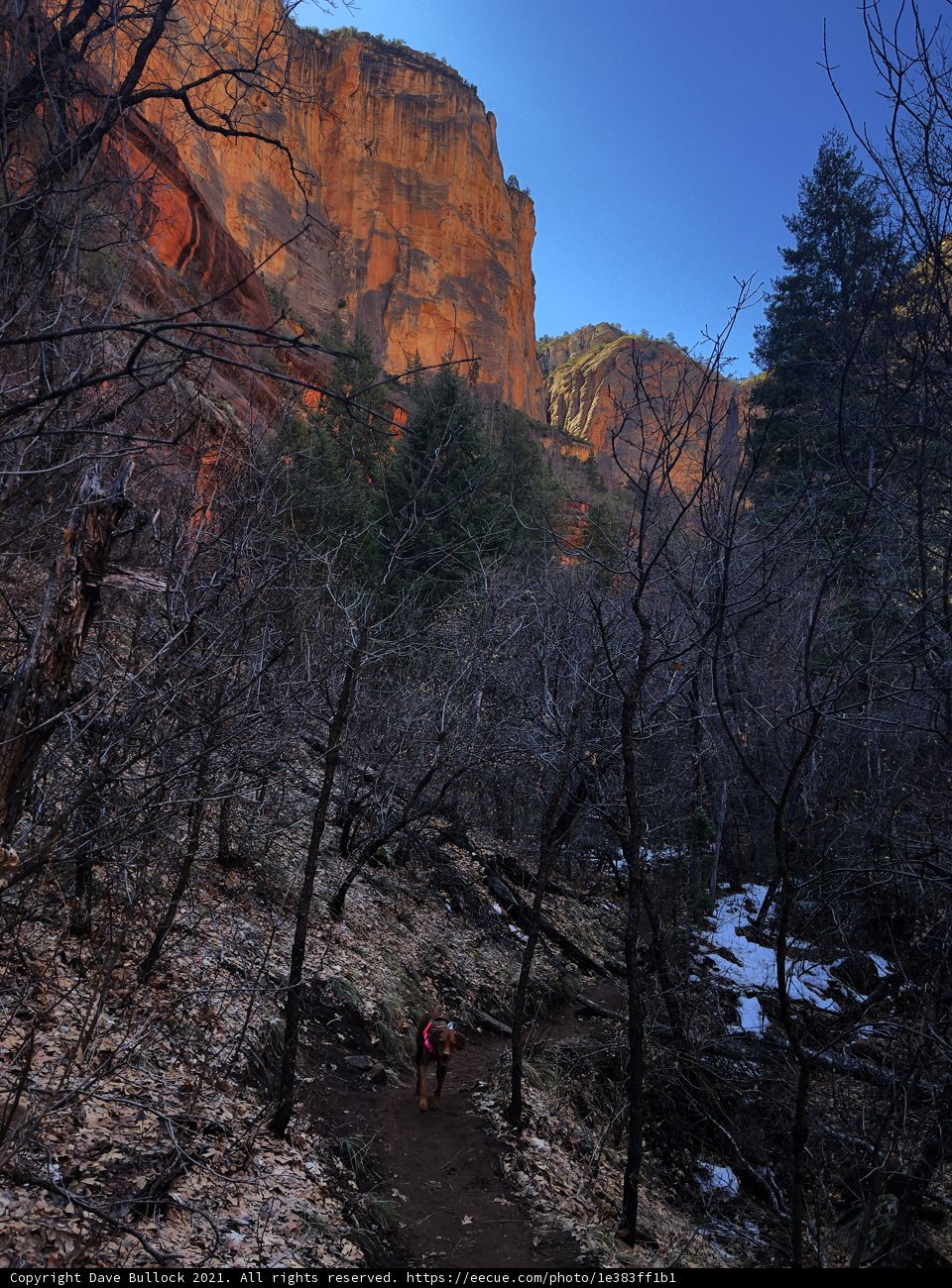 A Journey through the Wilderness