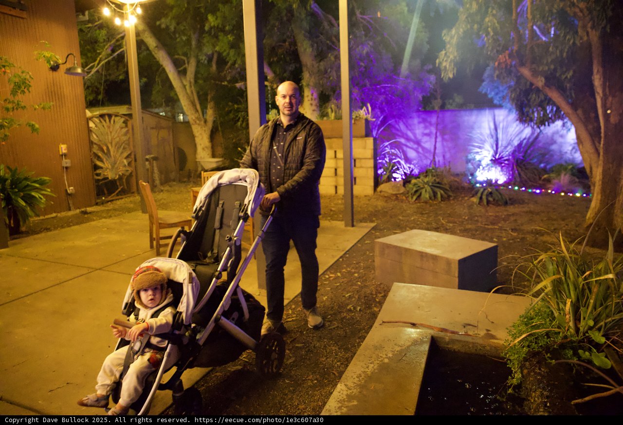 Evening Stroll in the Garden of D’Lights