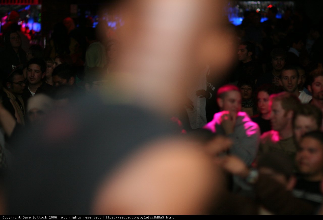 Bass Rush Concert Crowd