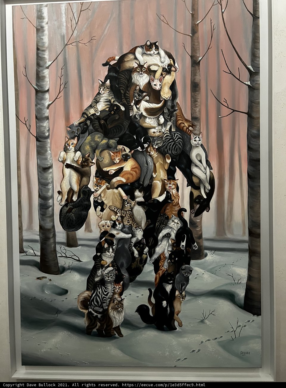 Bear in the Woods