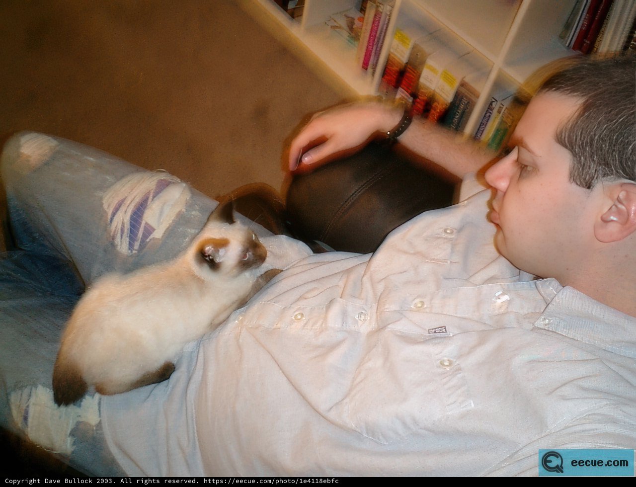 Cozying Up with Furry Company