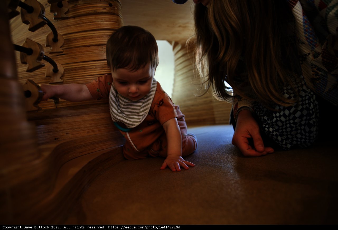 Playtime in Marin Headlands