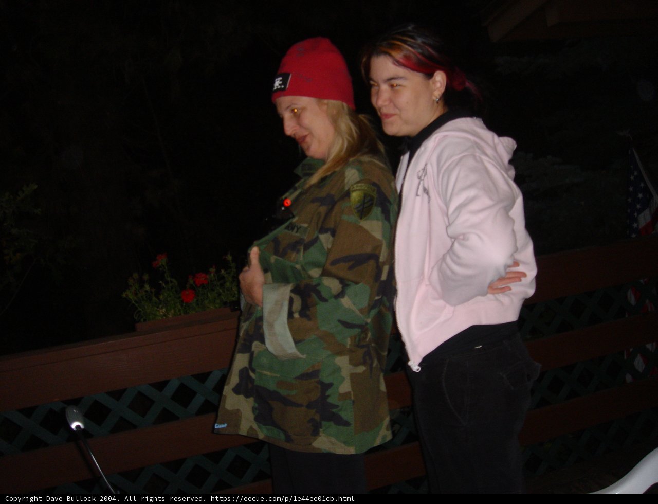 Standing by the Fence in Military Uniforms