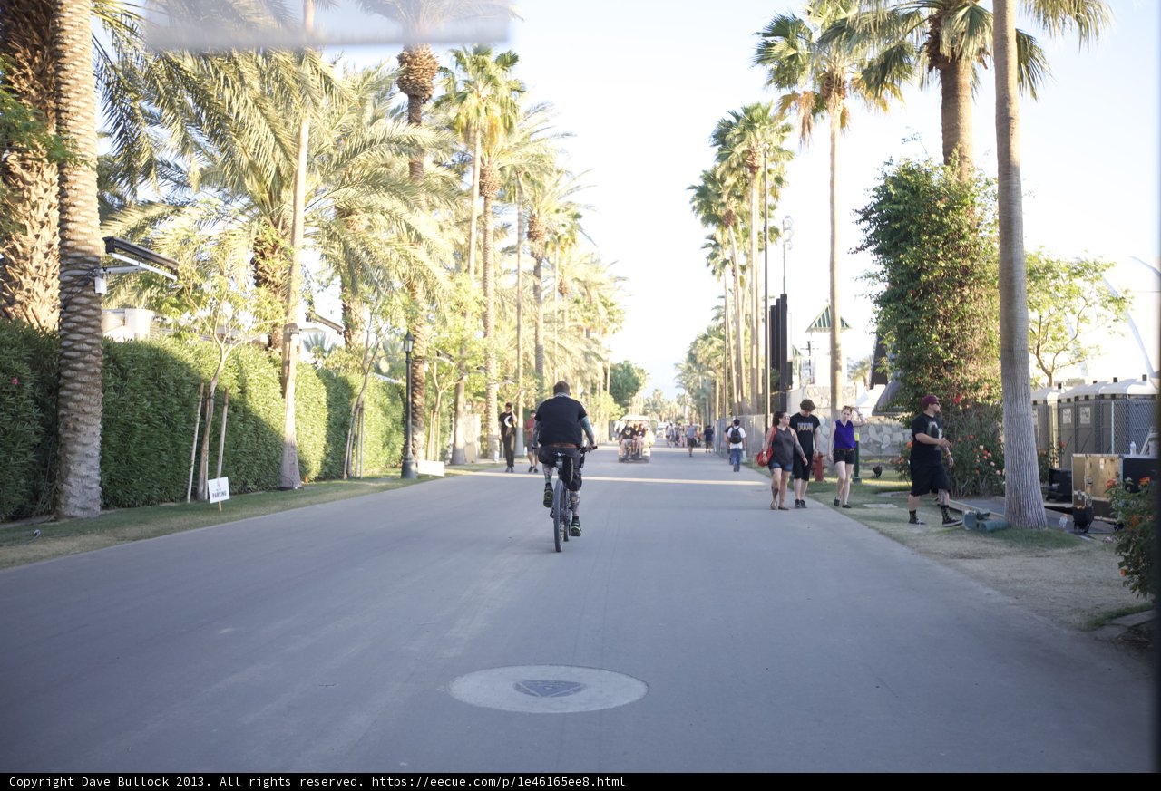 Riding Through Palm Trees