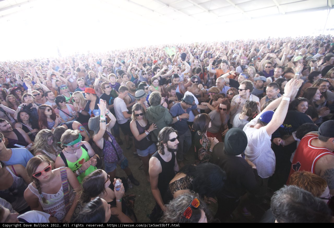 The Vibrant Crowd at Coachella 2012