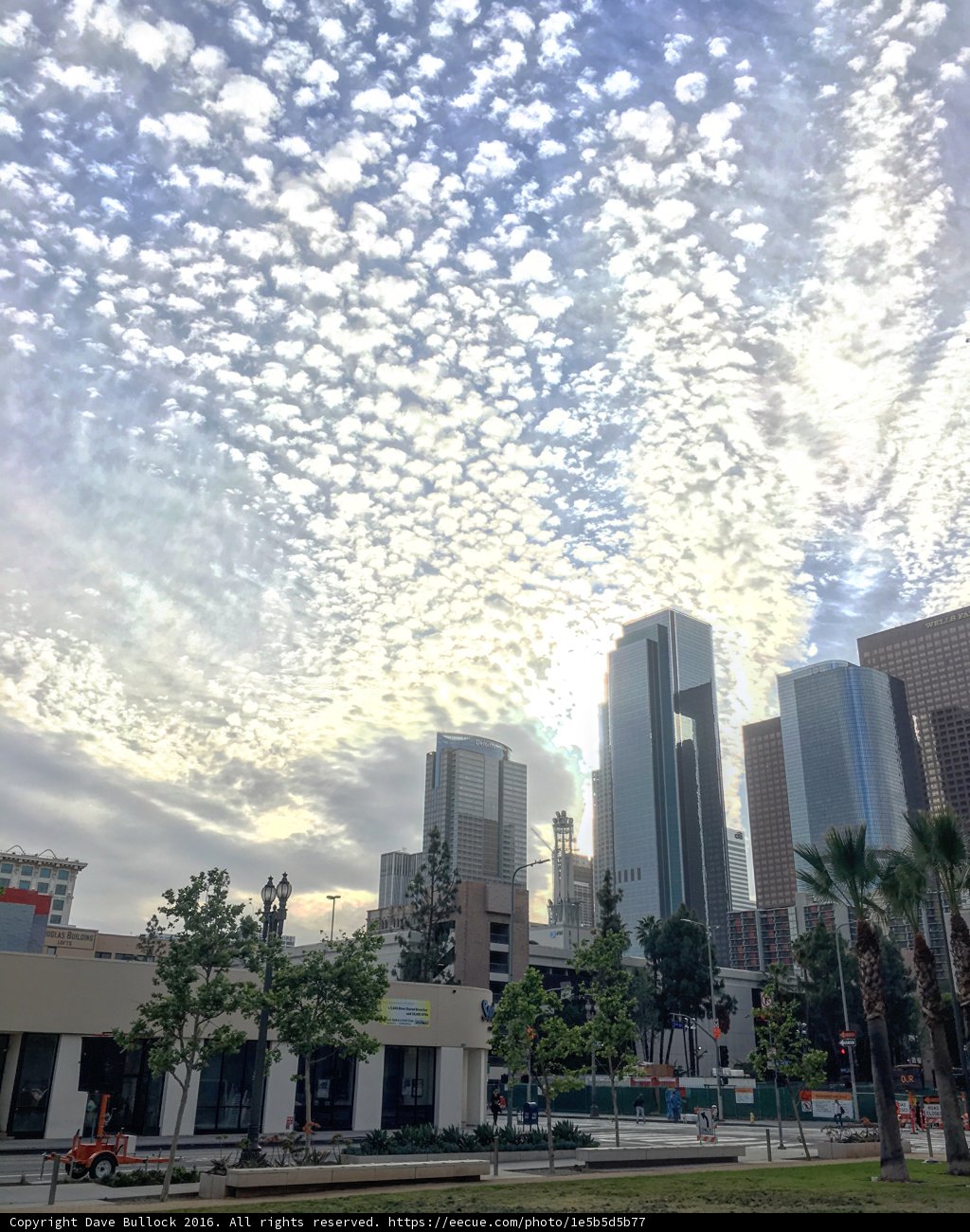 A Metropolis in the Clouds
