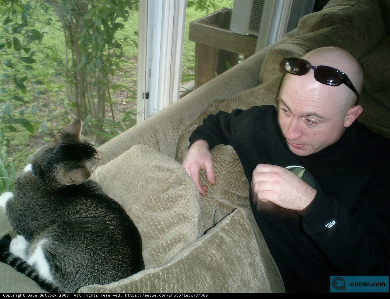 A Cozy Scene with Feline Company