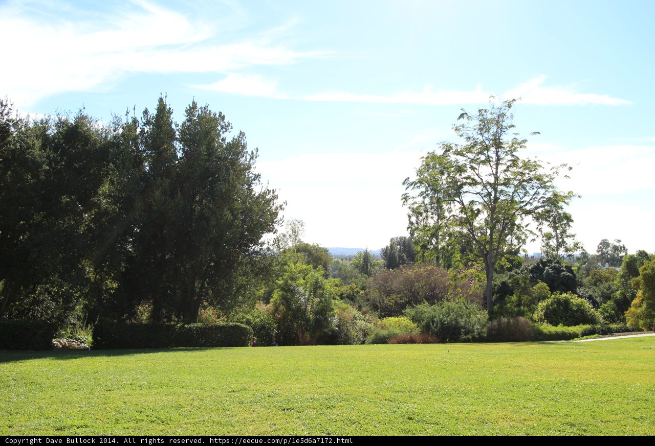 Serene Field at The Huntington Library