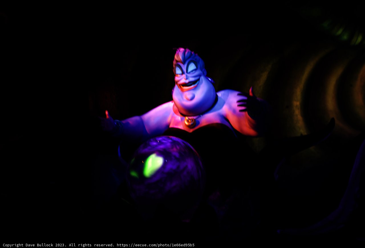 Enchanting Moments in Disneyland