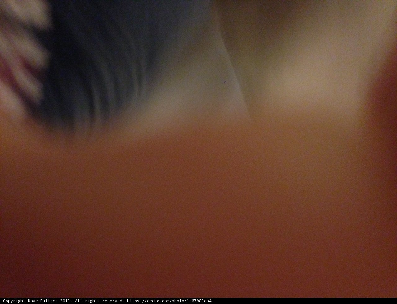 Blurry Image of a Person