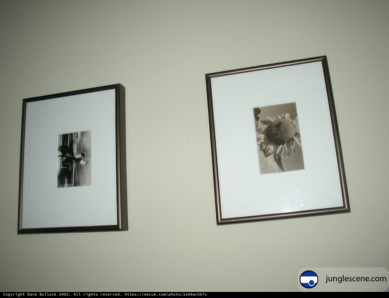Gallery of Memories