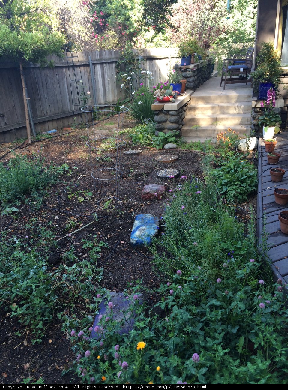 A Lush Garden with a Rustic Fence in Altadena, California