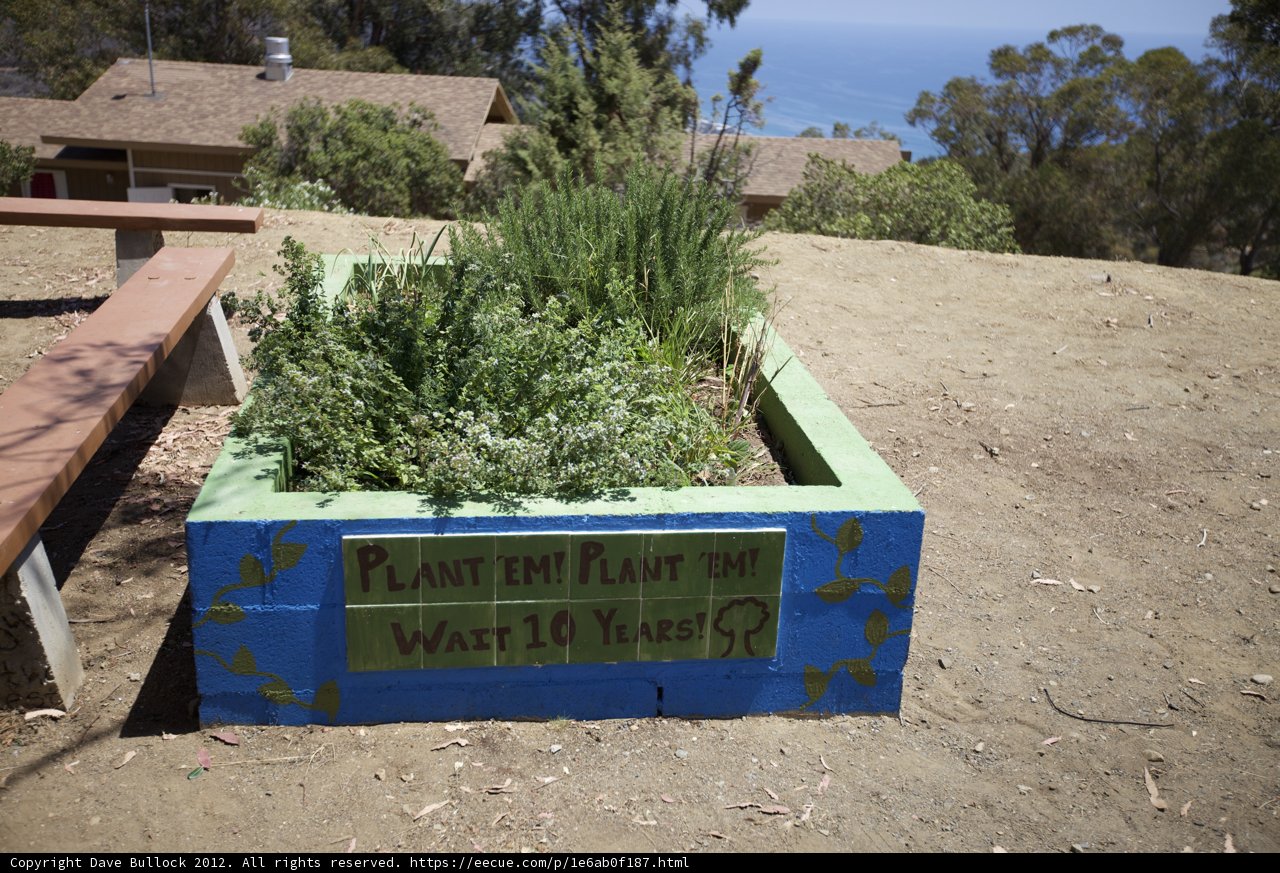 Planting for Your Desires