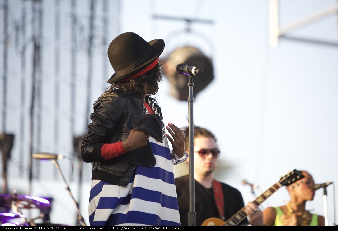 Striped Songstress