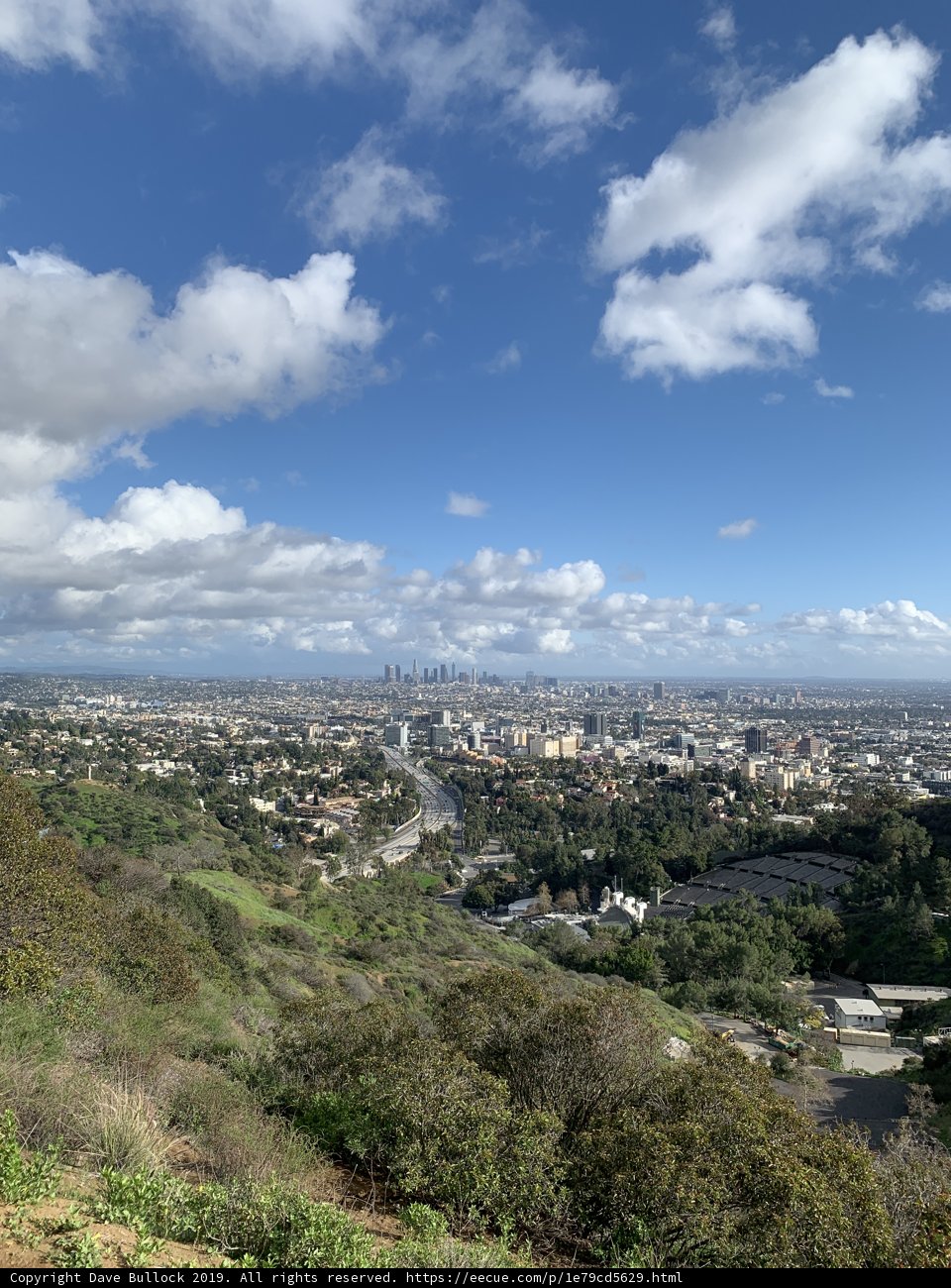 A Scenic View of the Urban Landscape
