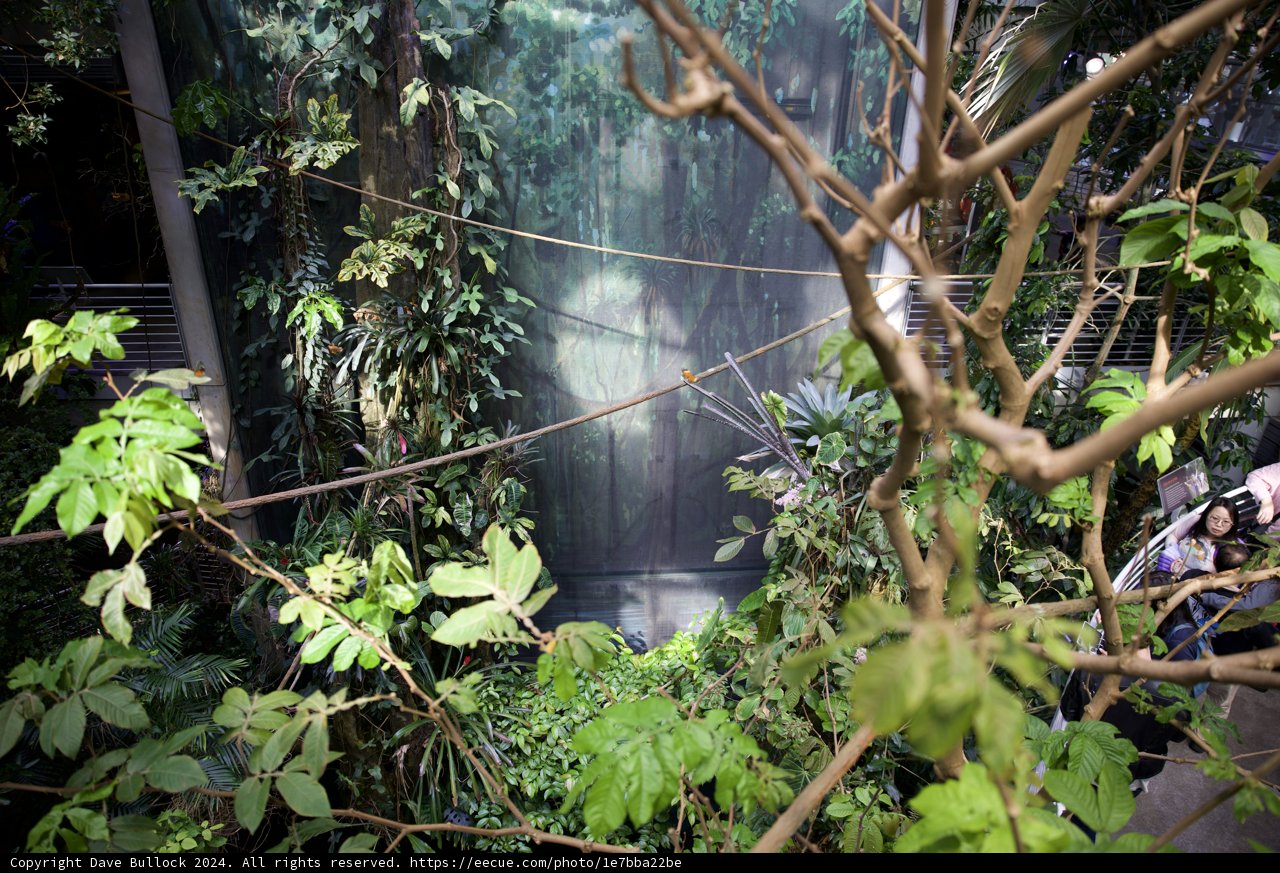 The Adventurous Explorer: Tao Luna in The Thick of The Rainforest