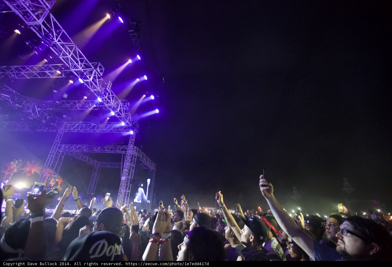 Ecstatic Crowd at Coachella