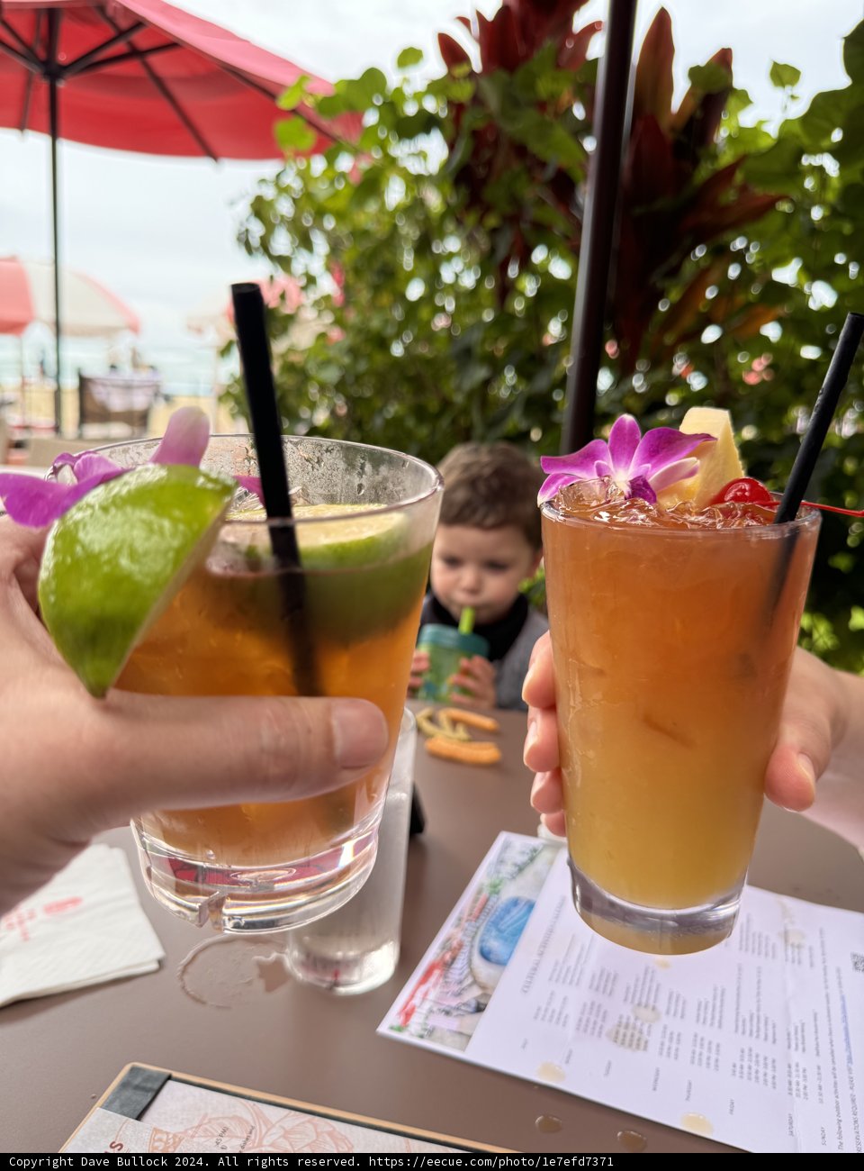 Tropical Refreshments and Youthful Curiosity