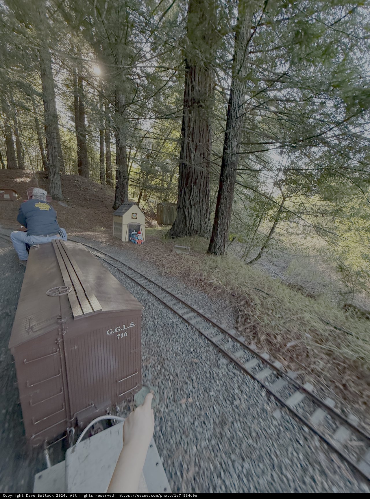 Scenic Train Journey Through Forest Railroad