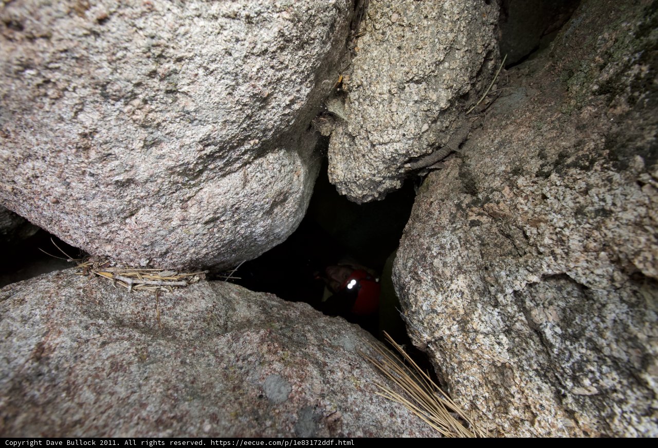 The Secret Hideout