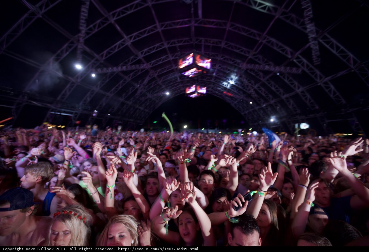 Coachella Crowd Goes Wild