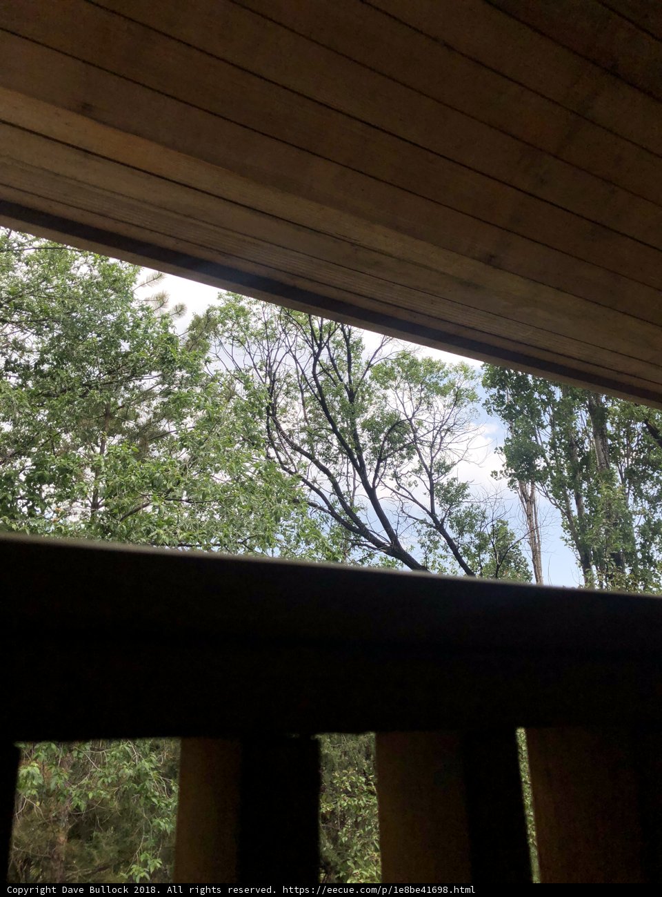Serene Scenery from Wooden Home Balcony