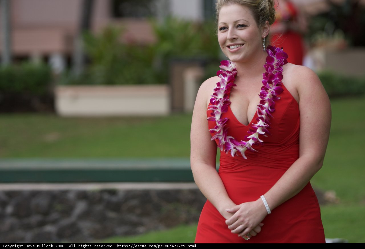 Red Dress and Flower Lei