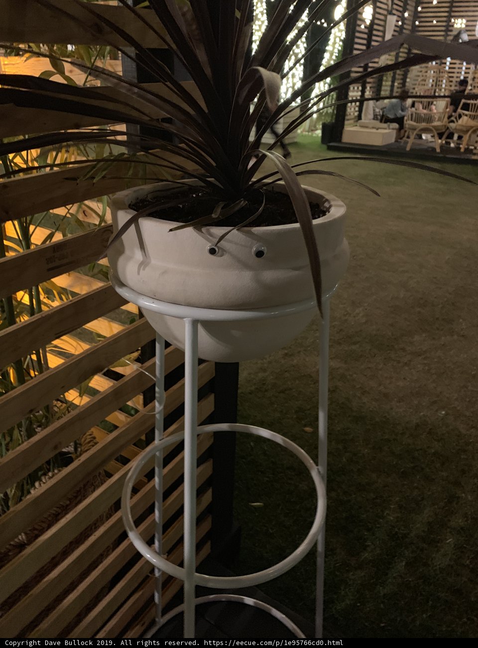 The Potted Beauty on a Stand