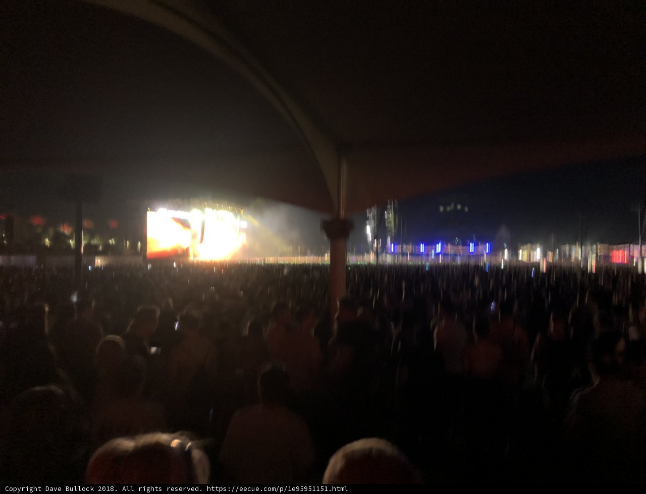 Night-time Revelry at the Concert