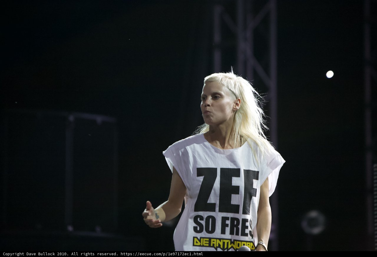 Zef and Free at Coachella