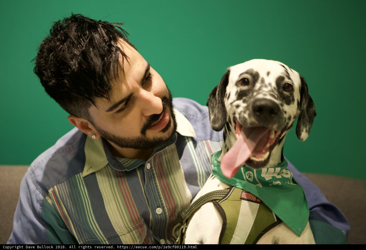Man's Best Friend