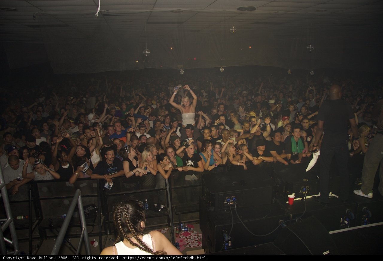 Rocking with the Crowd