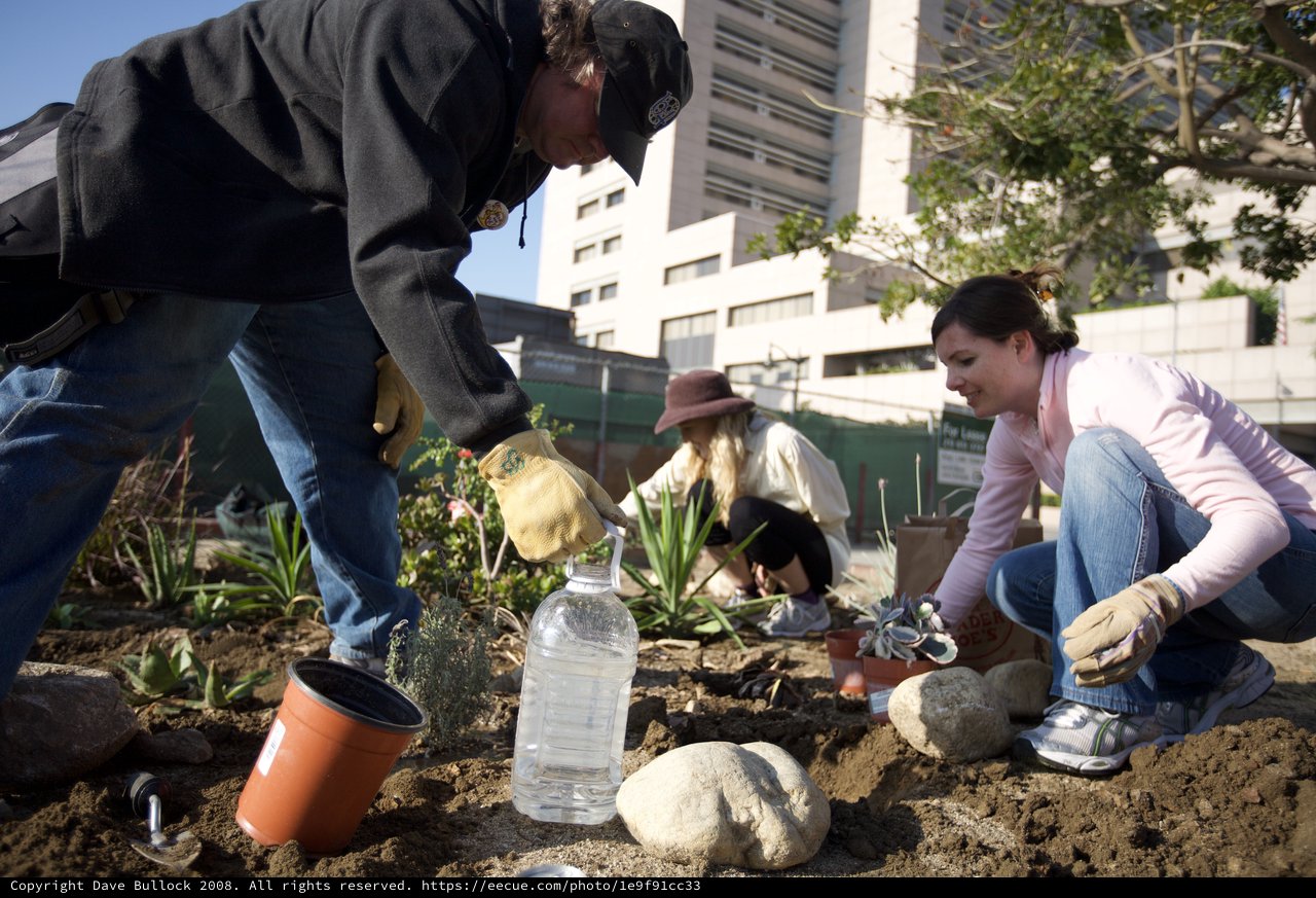 Urban Guerrilla Gardeners Transform City Plot Together