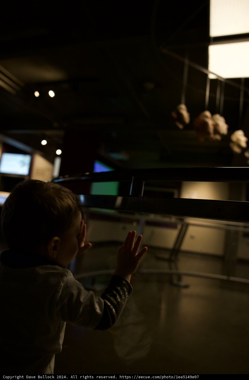 Innocence meeting Art: A Child's Museum Journey