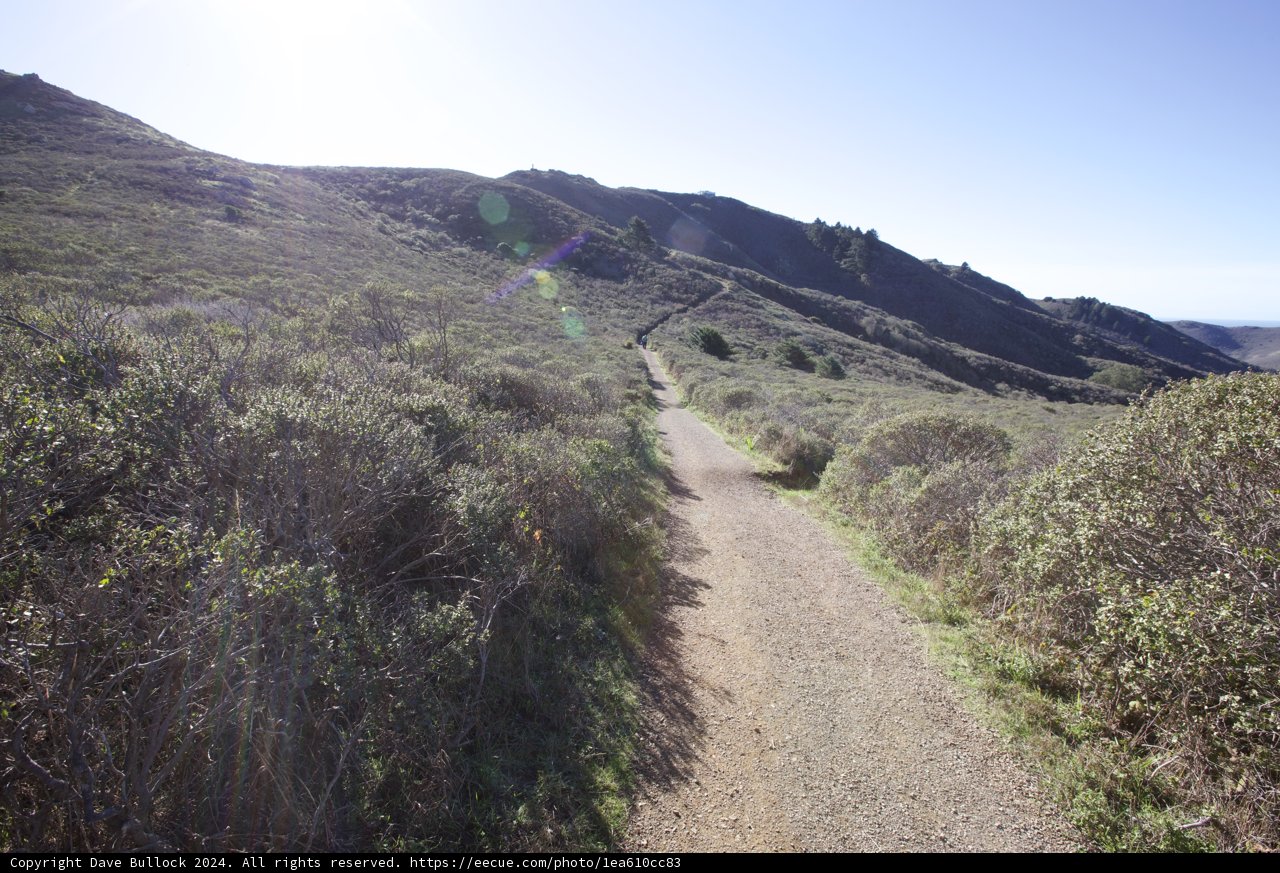 Nature's Serenity: Tranquil Path on Hill 88