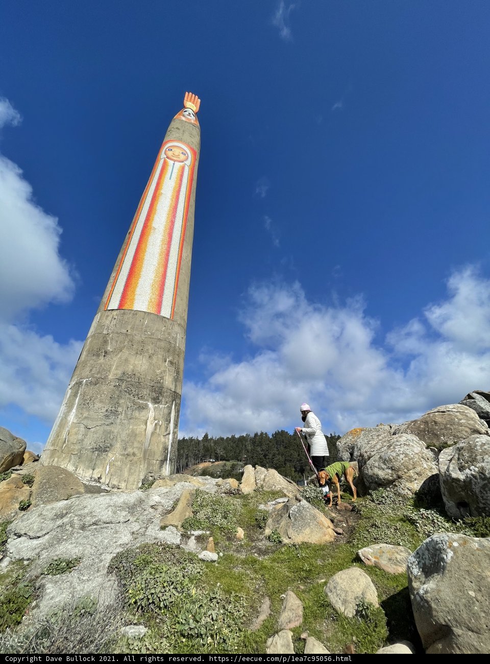 Towering View
