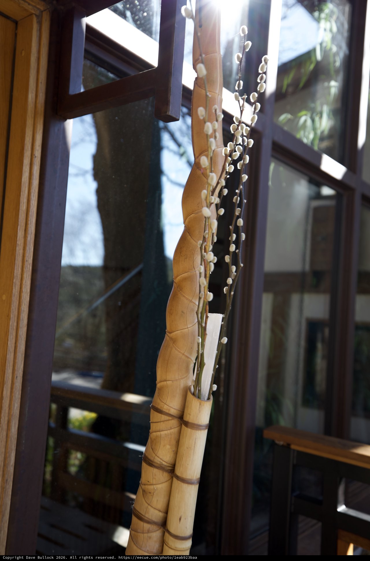 Pussy Willow Branches in Rustic Window Display