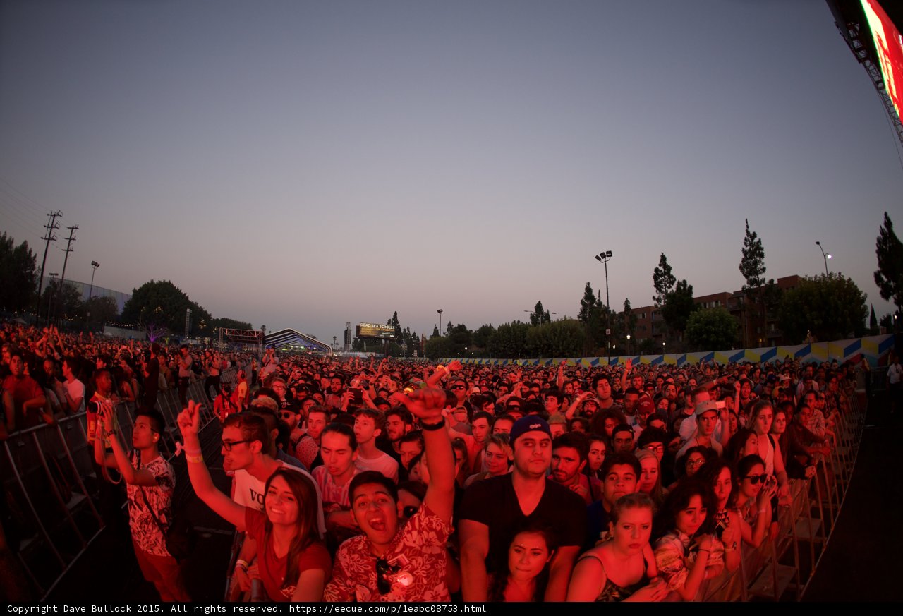 Excited Crowd at Dusk