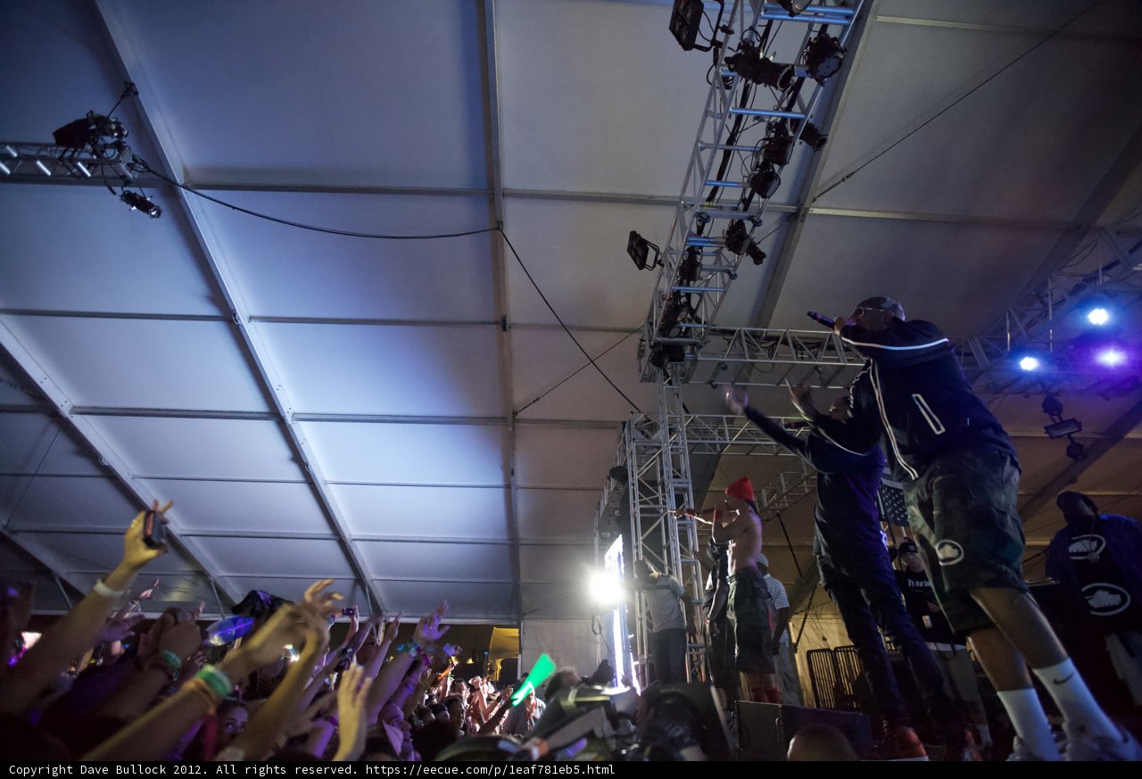 Shining Spotlight on the Euphoric Crowd