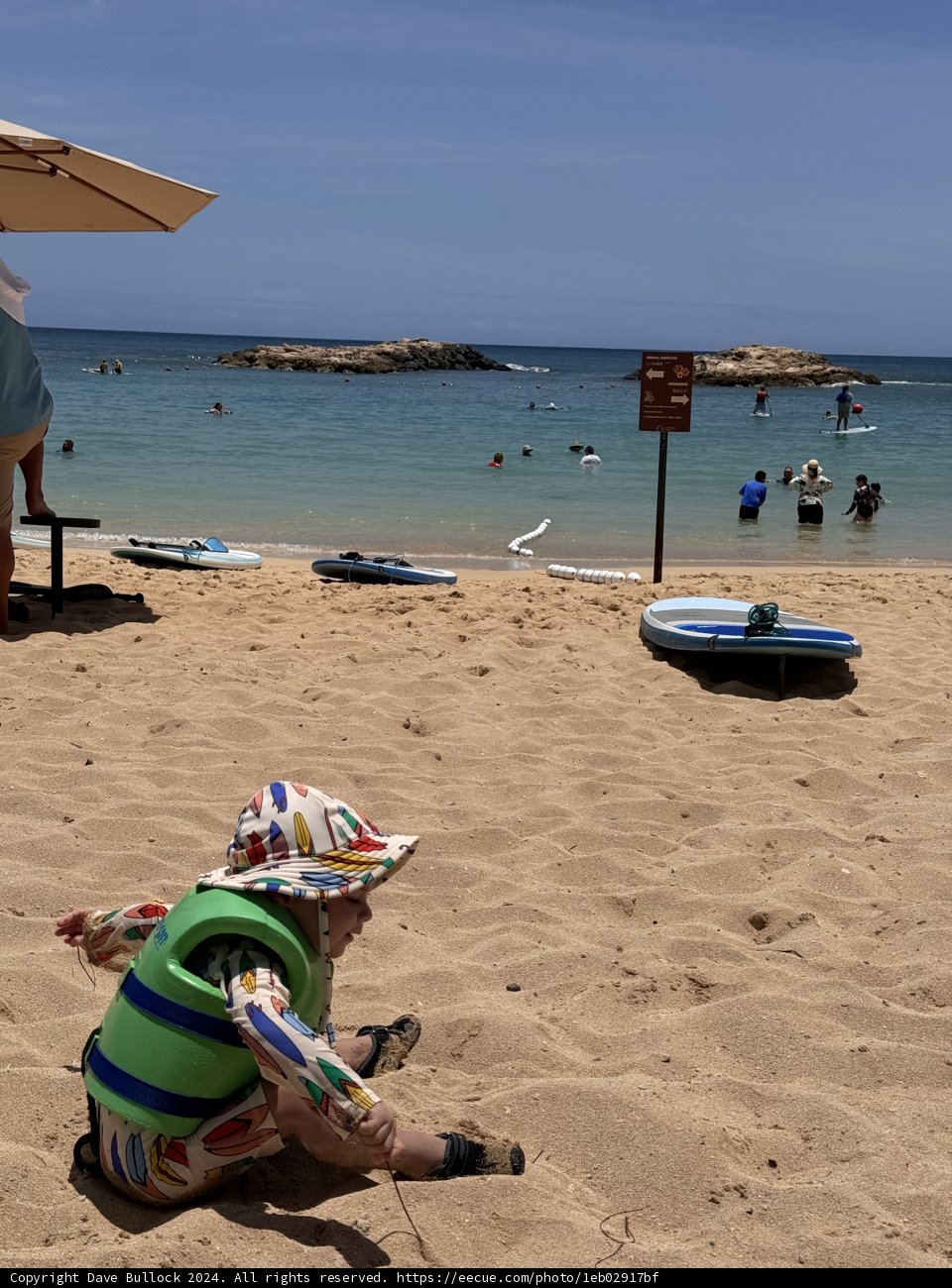 Paradise Playtime
