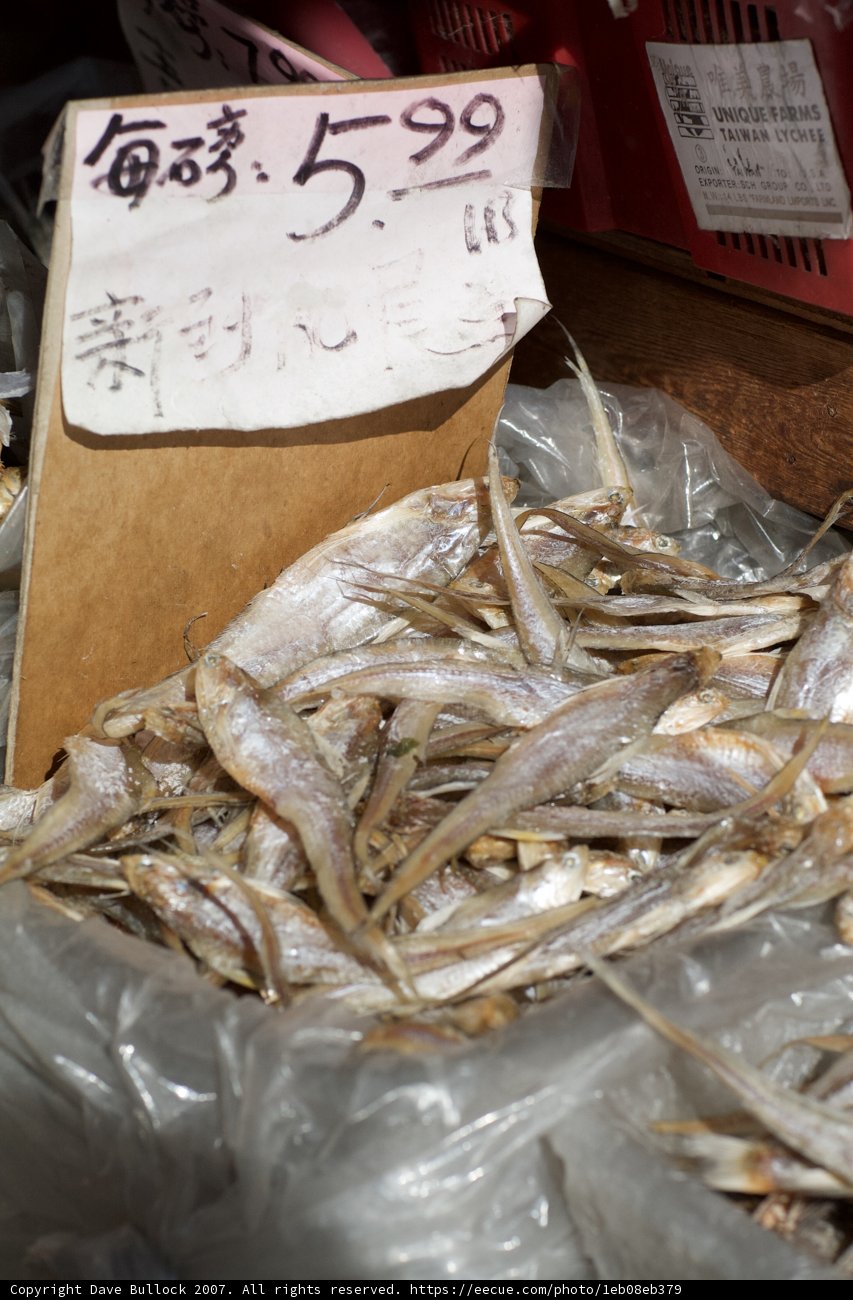Dry Fish Bounty