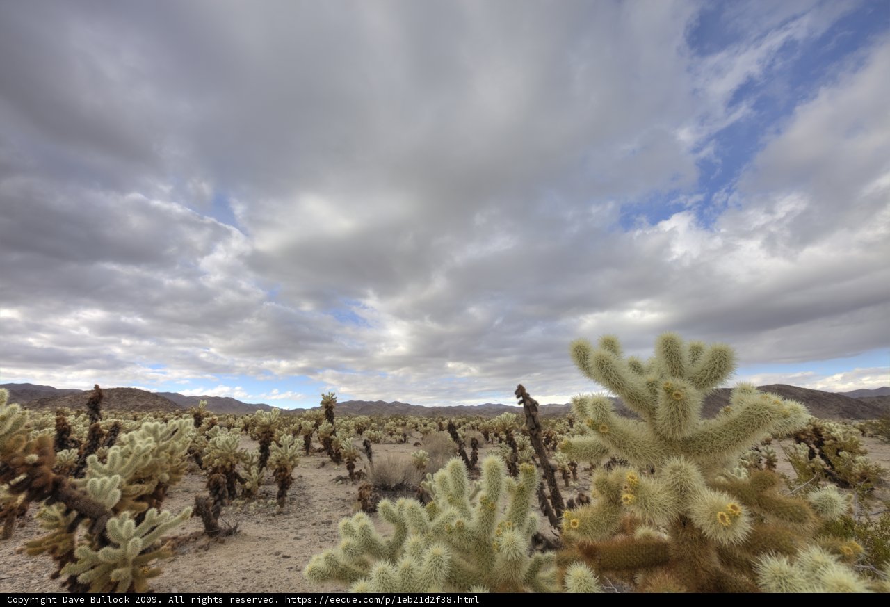 Captivating Desert Landscape