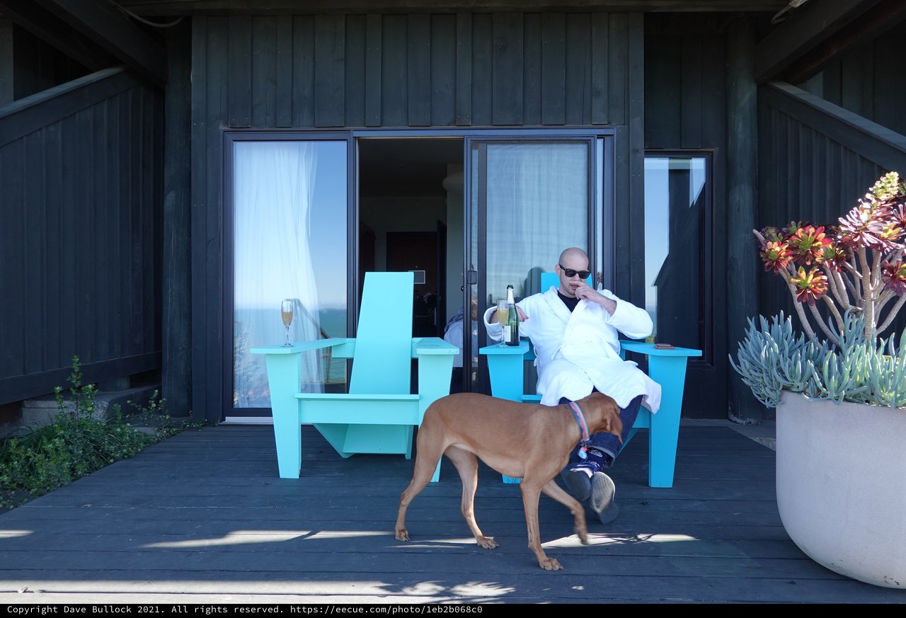 Man Relaxing with Dog on Modern Patio