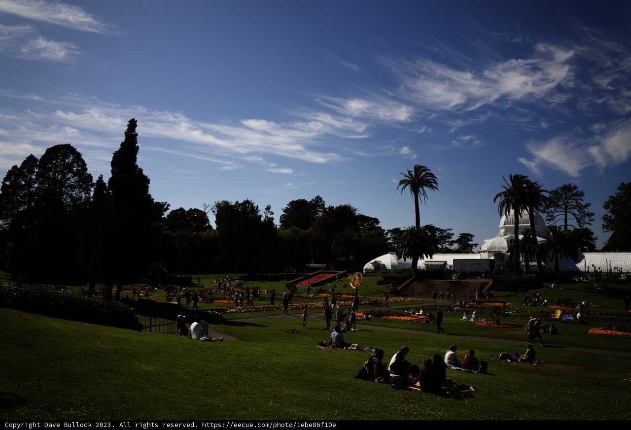 Summer Afternoon at Golden Gate Park
