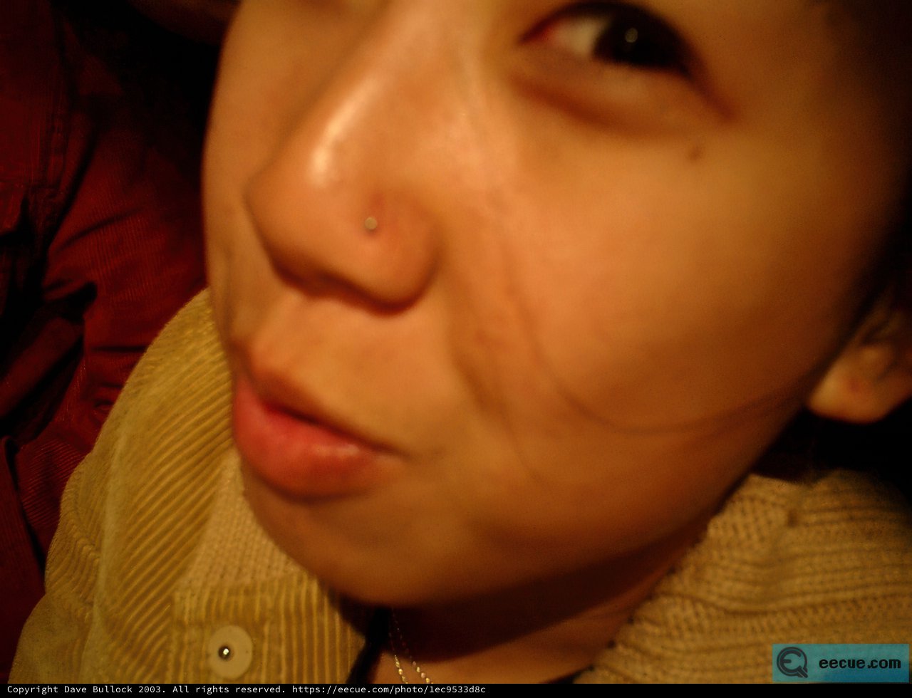 Nose Ring Beauty