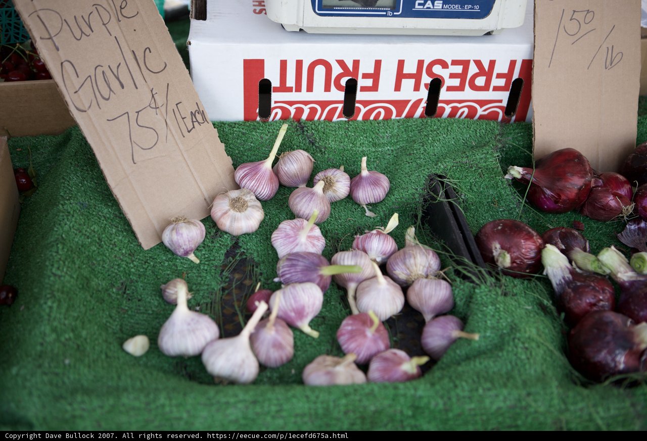 Fresh Garlic and Onions at the Blogdowntown Picnic